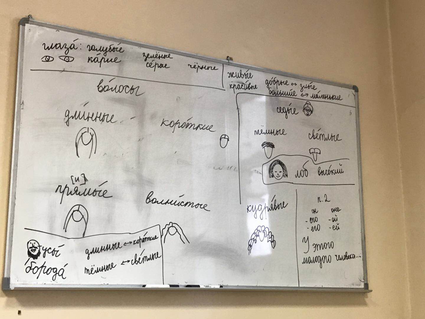 老师用形象的方法解释男女在讲话、穿衣、发型、胡须上的差异。|俄罗斯留学预科|俄罗斯大学预科学习
