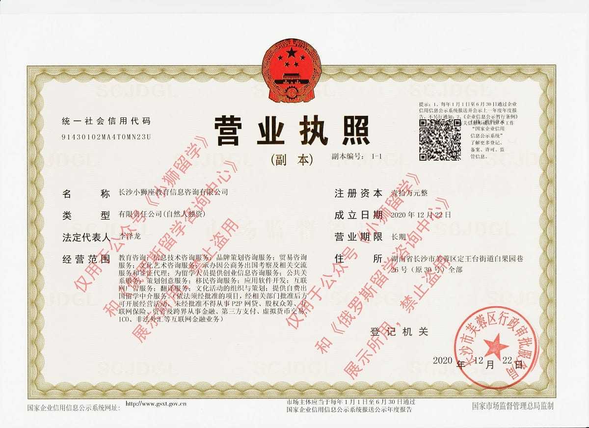 公司营业执照 公司营业执照